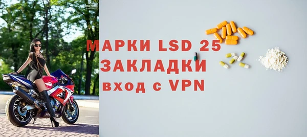 прущие грибы Невельск