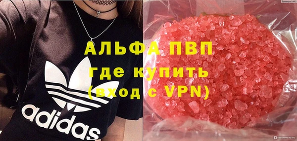 шишки Кострома