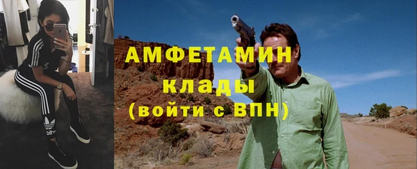 шишки Кострома