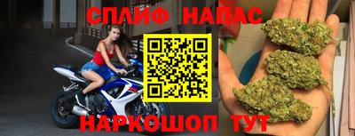 a pvp Гагарин