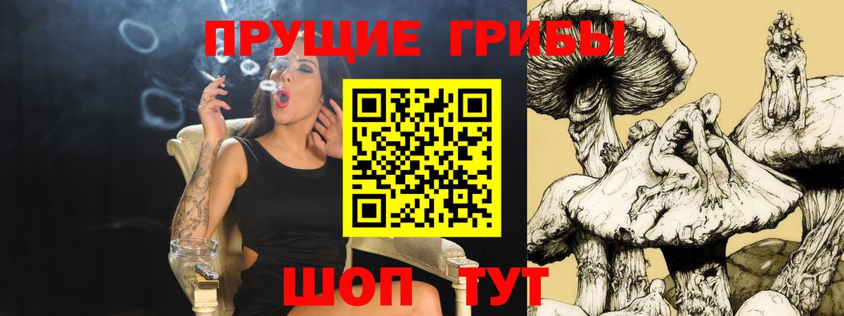 Галлюциногенные грибы Psilocybe  Алушта  Галлюциногенные грибы Psilocybine cubensis 