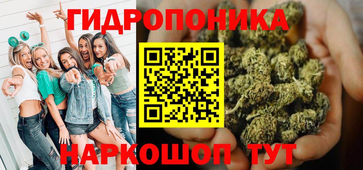 Каннабис план  Марихуана семена  Алушта  Вход с VPN  Канабис семена 